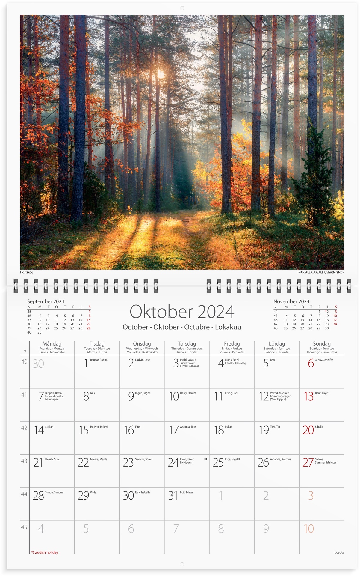 [61173524] Väggkalender Vår v. skog 2024