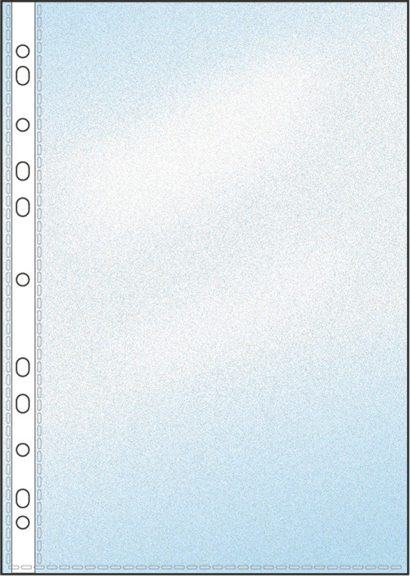2666112a.jpg