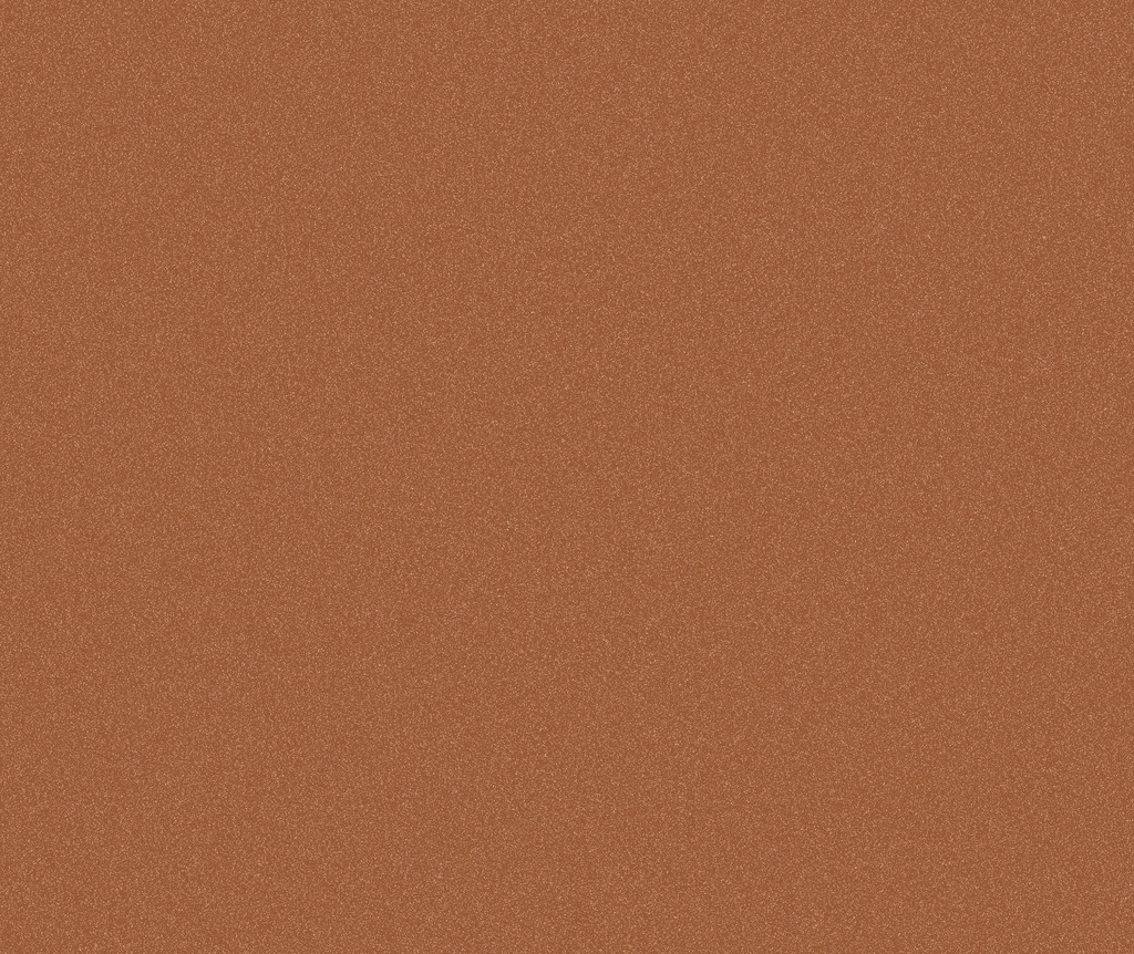 8100574a.jpg