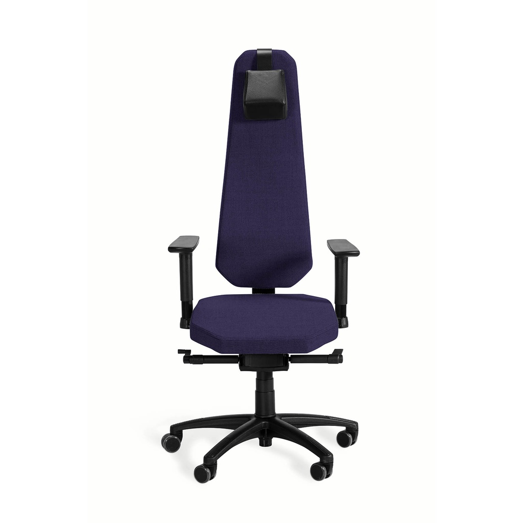 2469131a.jpg