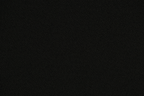 2469144a.jpg