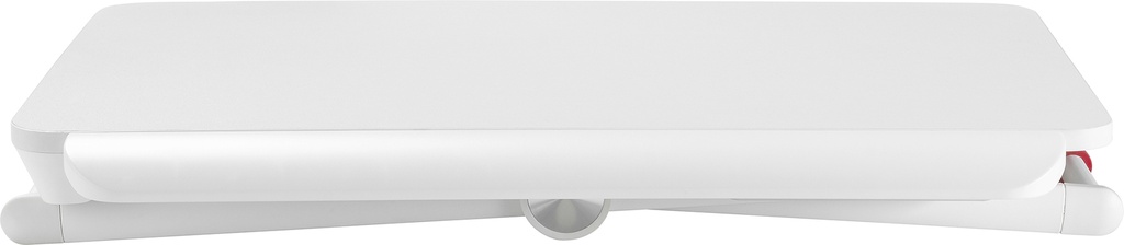8555960a.jpg