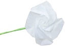 8300225a.jpg