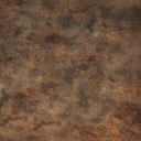 8566960a.jpg