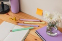 Blyertspenna BIC Pastell HB