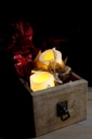 Blockljus LED May 2-pack D5 H6