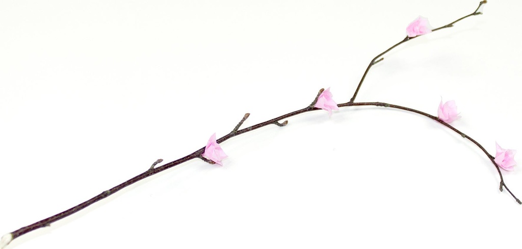 Silkespapper 50x70cm rosa 25/fp