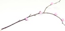 Silkespapper 50x70cm rosa 25/fp