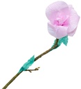 Silkespapper 50x70cm rosa 25/fp