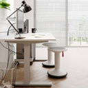 Balanspall / Sittpall UPis1 gråvit