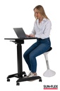 Bord manuellt Easydesk Pro 60x52 cm svart Sun-Flex