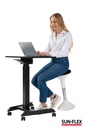 Bord manuellt Easydesk Pro 60x52 cm svart Sun-Flex