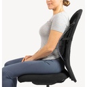 Svankstöd Ergonomiskt Svart Swedish Posture