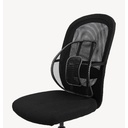 Svankstöd Ergonomiskt Svart Swedish Posture