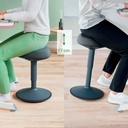 Sittpall Ergo mörkgrå