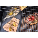 Gasolgrill Char-Broil Professional Power Edition 3