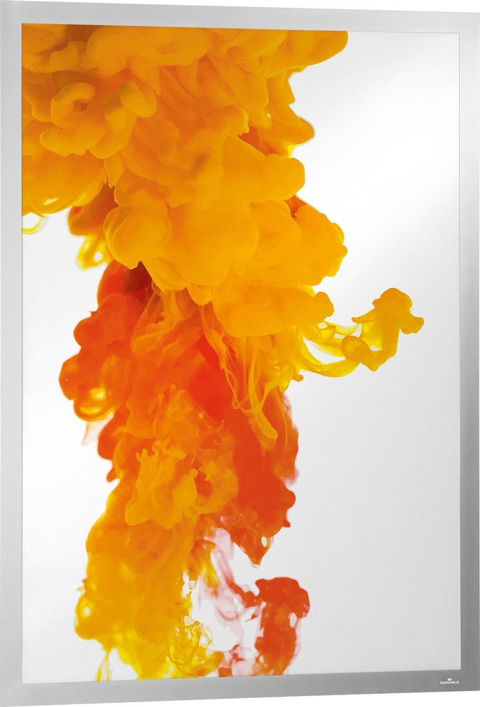 Inforam Duraframe Poster A1 silver
