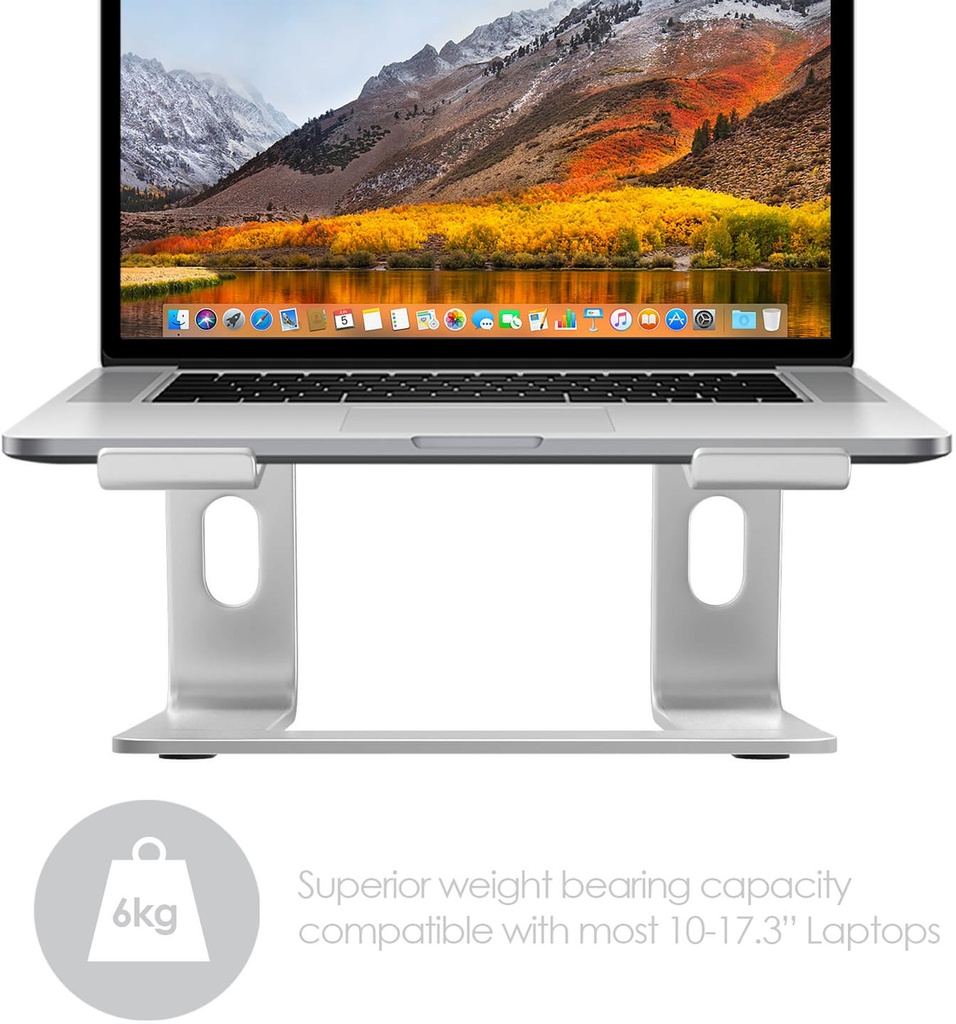 Laptopställ DESIRE2 Pro Silver