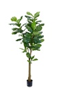 Konstväxt Fiolfikus 150 cm
