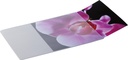 Musmatta PADPLUS transparent