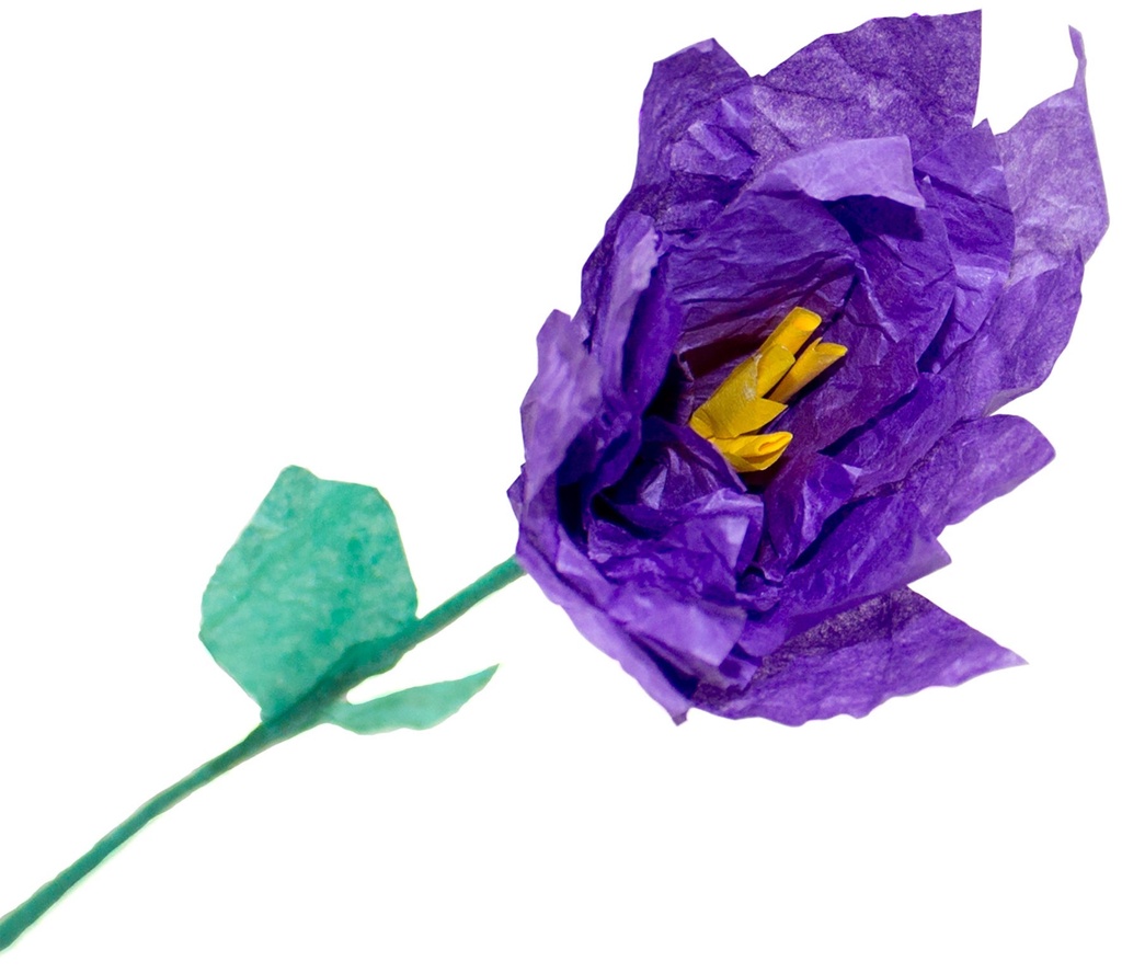 Silkespapper 50x70cm violett 25/fp