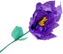 Silkespapper 50x70cm violett 25/fp