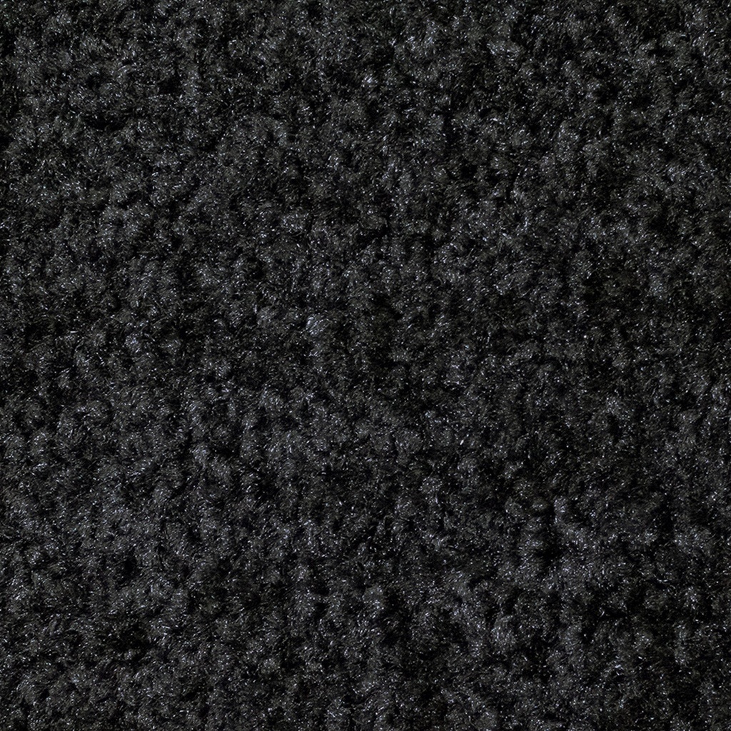 Entrématta/torkmatta Clean 90x150 cm svart