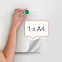 Magnet Nobo 13 mm grön 10-pack