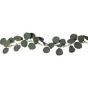 Ljusslinga LED Eucalyptus 1,8 m