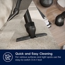 Dammsugare Electrolux EB61C2GRN Clean 600 Green 850W