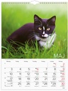 Väggkalender Stora Kattkalendern 2027 Burde