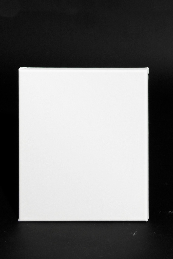 Målarduk canvas 30x24cm