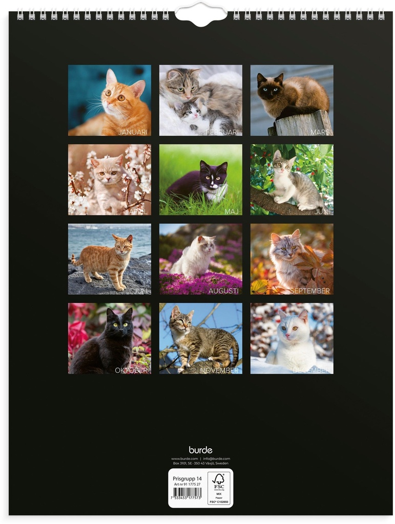 Väggkalender Stora Kattkalendern 2027 Burde