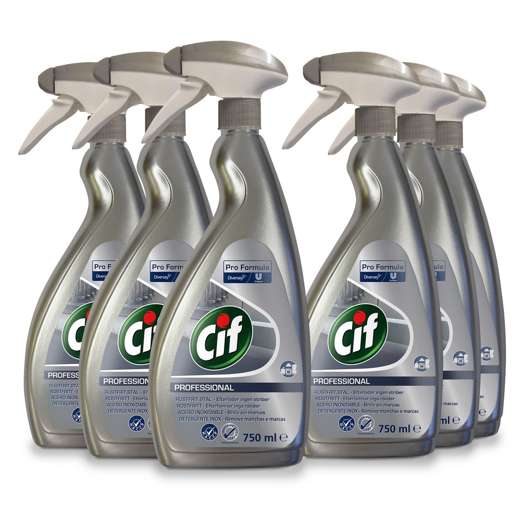 Rengöring Rostfritt Stål 750 ml