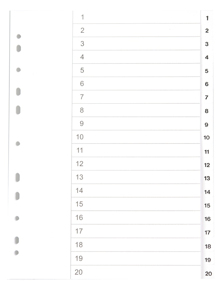 Register vit kartong A4 1-20