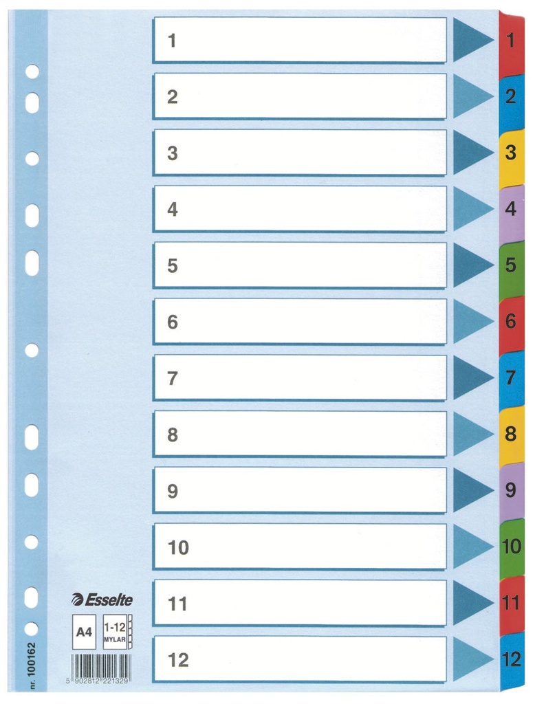 Register Esselte Mylar A4 1-12