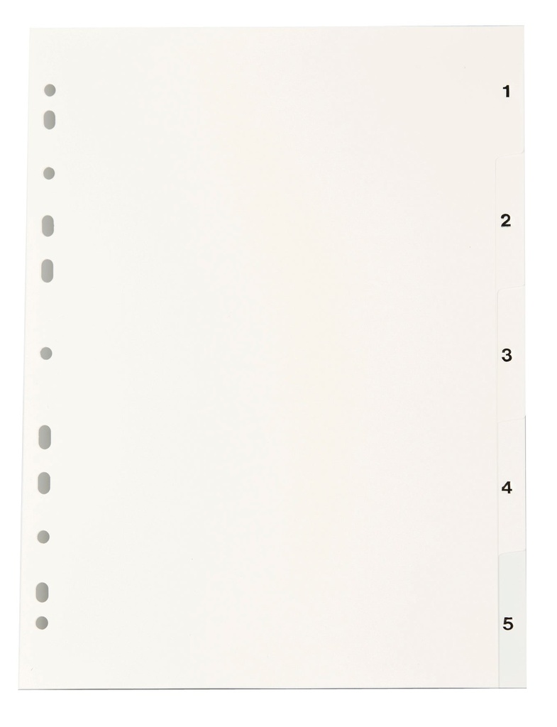 Register vit PP  A4 1-5
