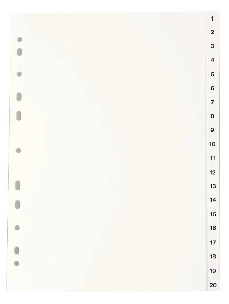 Register vit PP A4 1-20 10st/fp
