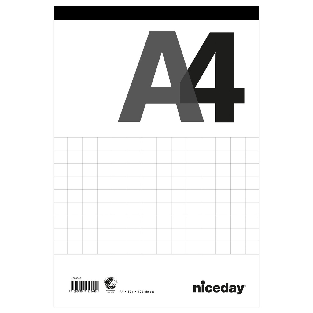 Perforerat block A4 100blad rutat
