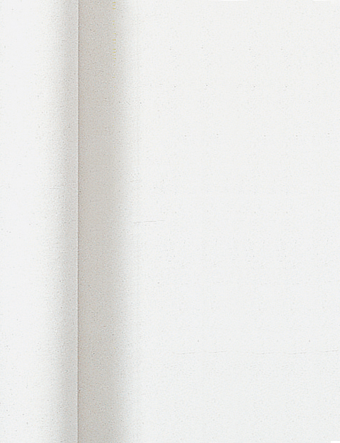 Dukrulle Damast 118cmx8m   vit