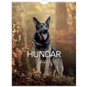 Väggkalender 2023 Hund