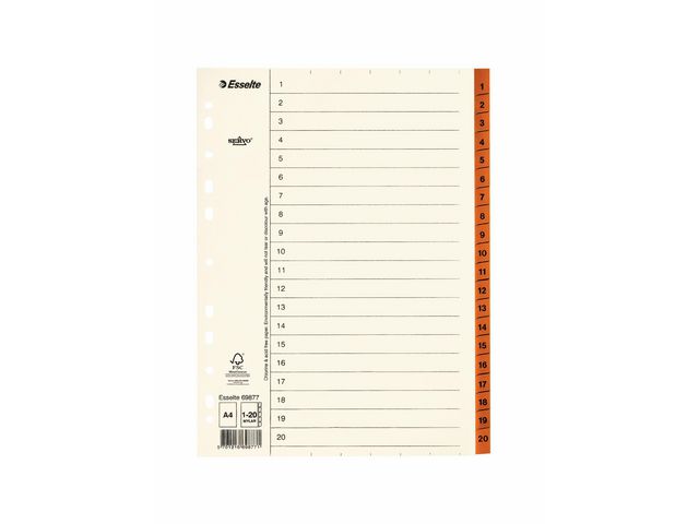 PAPPREGISTER SERVO A4 1-20 BRUN