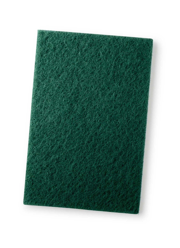 Skurnylon 22x14 cm grön 10/fp