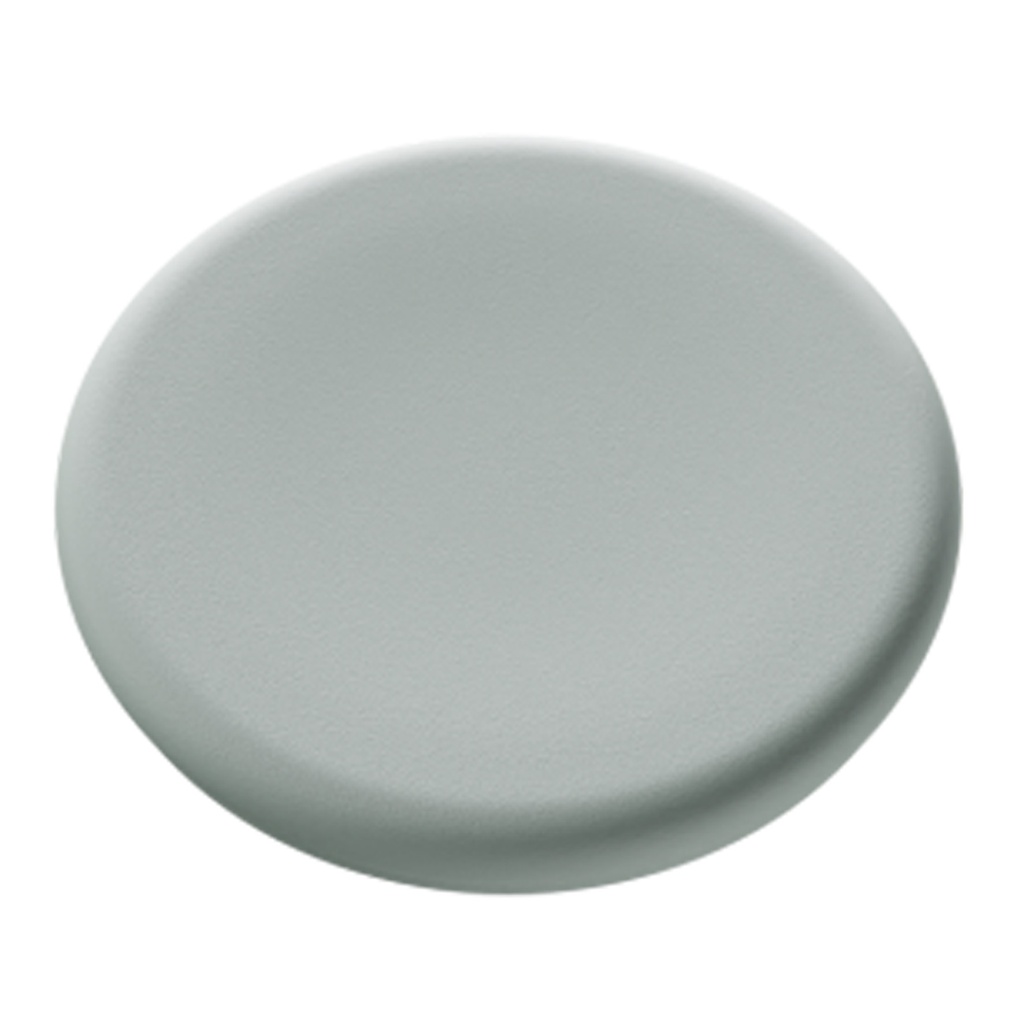 Magnet 30mm glastavlor sage gr