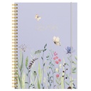 Study Story Äng A5 25/26