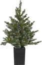 Julgran Greyland 90 cm