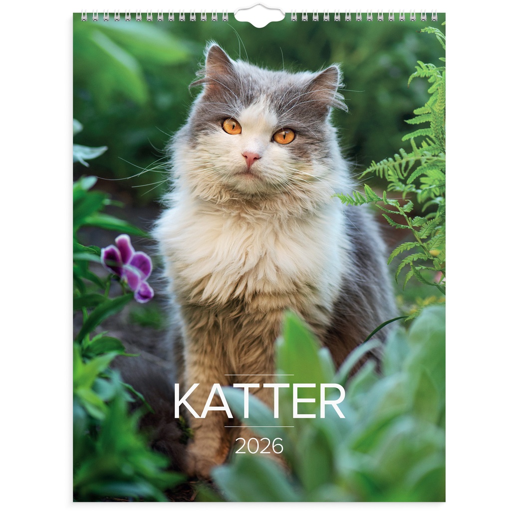 Stora Kattkalendern 2026 vägg