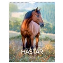 Stora Hästkalendern 2026 vägg