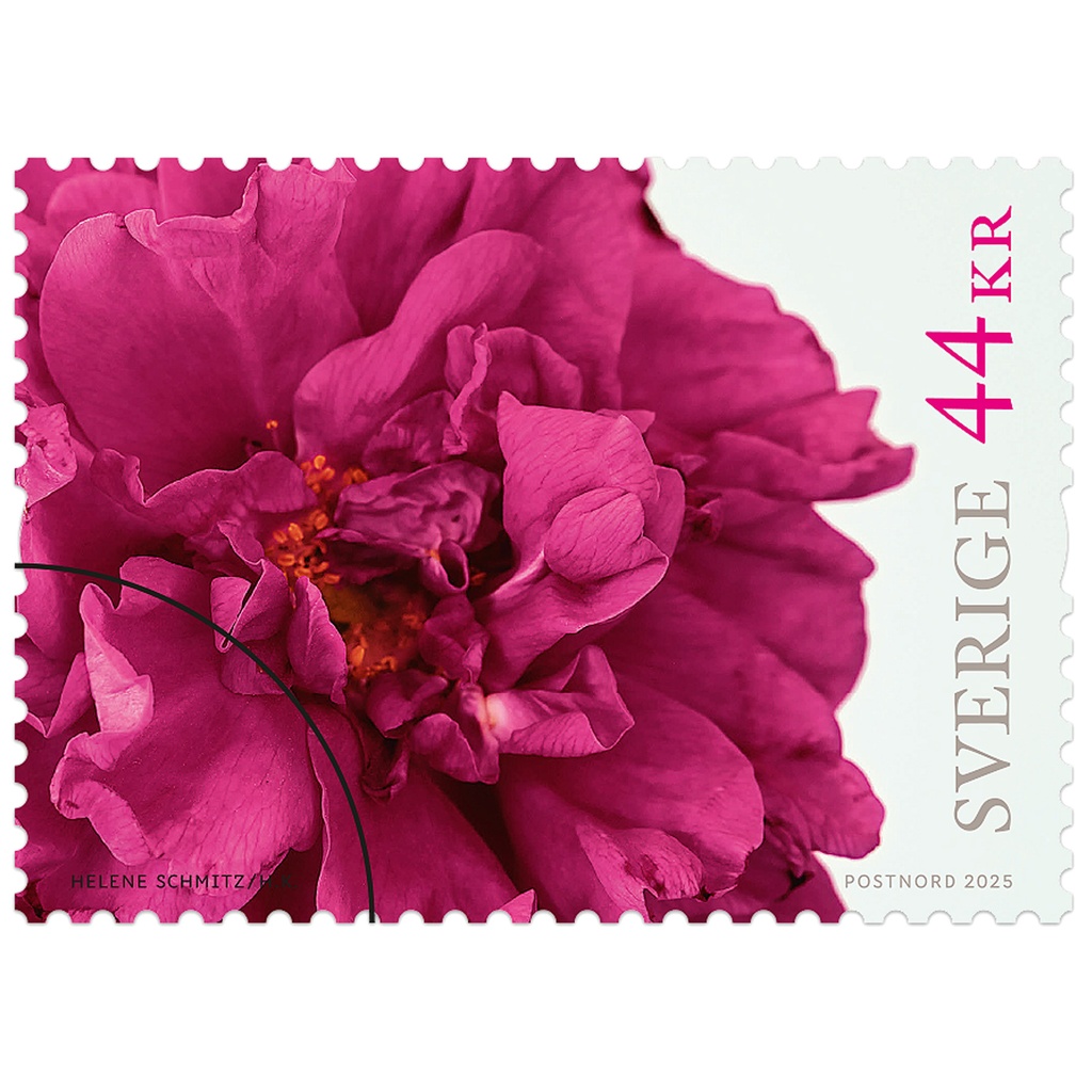 Frimärke Utrikes Rosor 2025