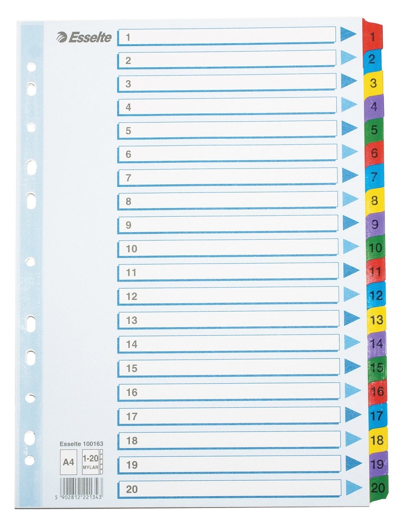 Register Esselte Mylar A4 1-20